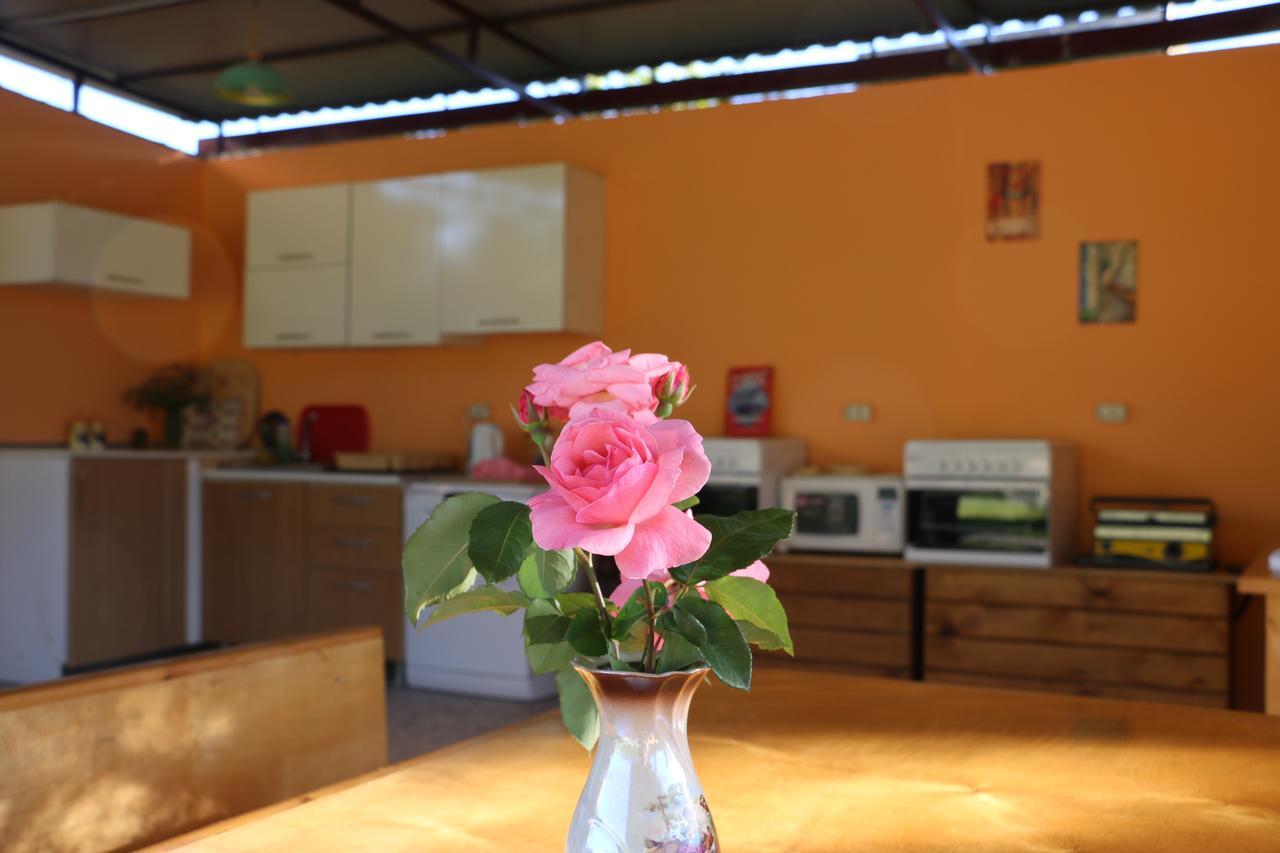 Inn Aхчыпсы Gagra Dış mekan fotoğraf