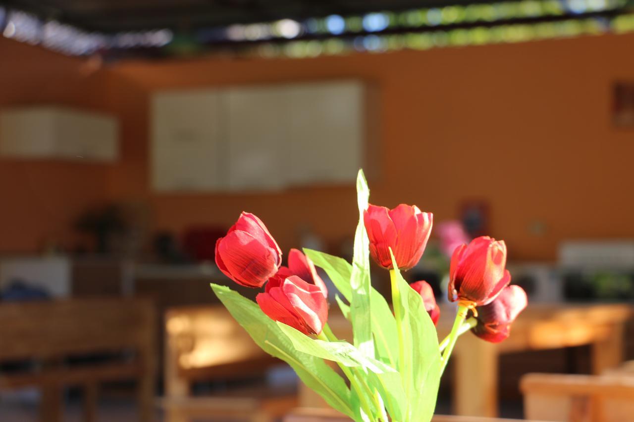 Inn Aхчыпсы Gagra Dış mekan fotoğraf
