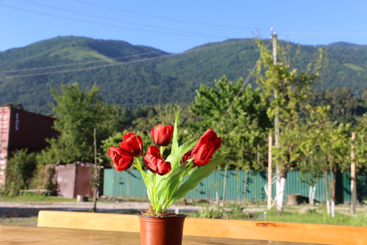 Inn Aхчыпсы Gagra Dış mekan fotoğraf