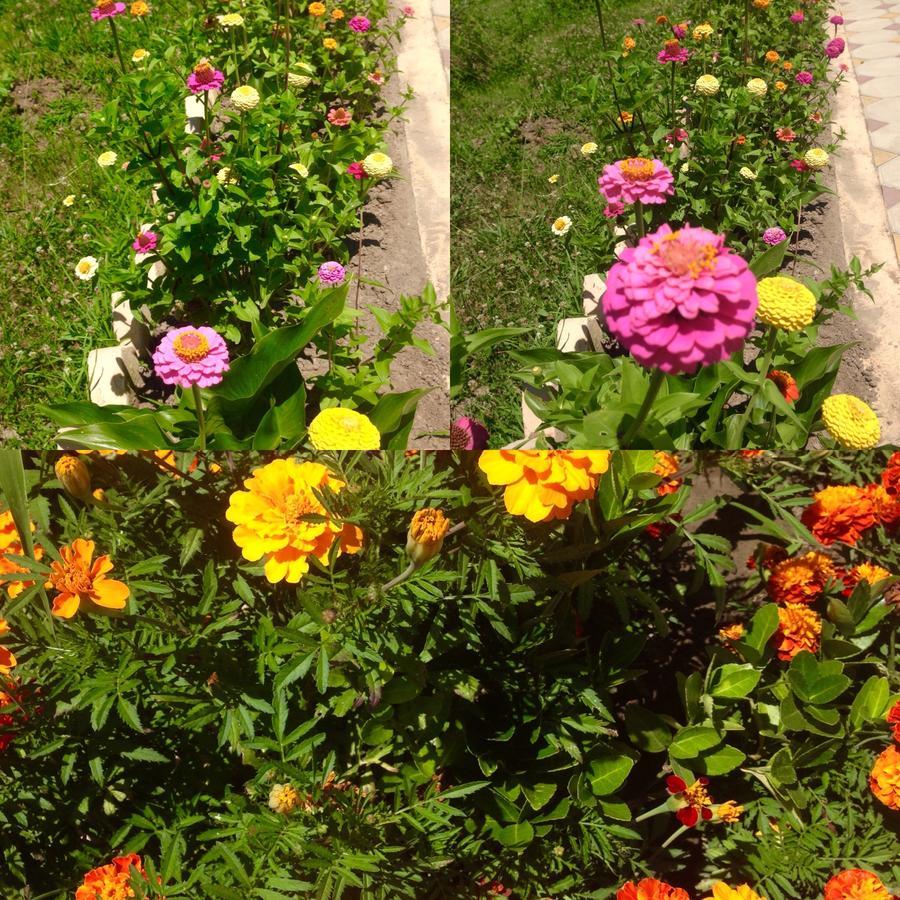 Inn Aхчыпсы Gagra Dış mekan fotoğraf